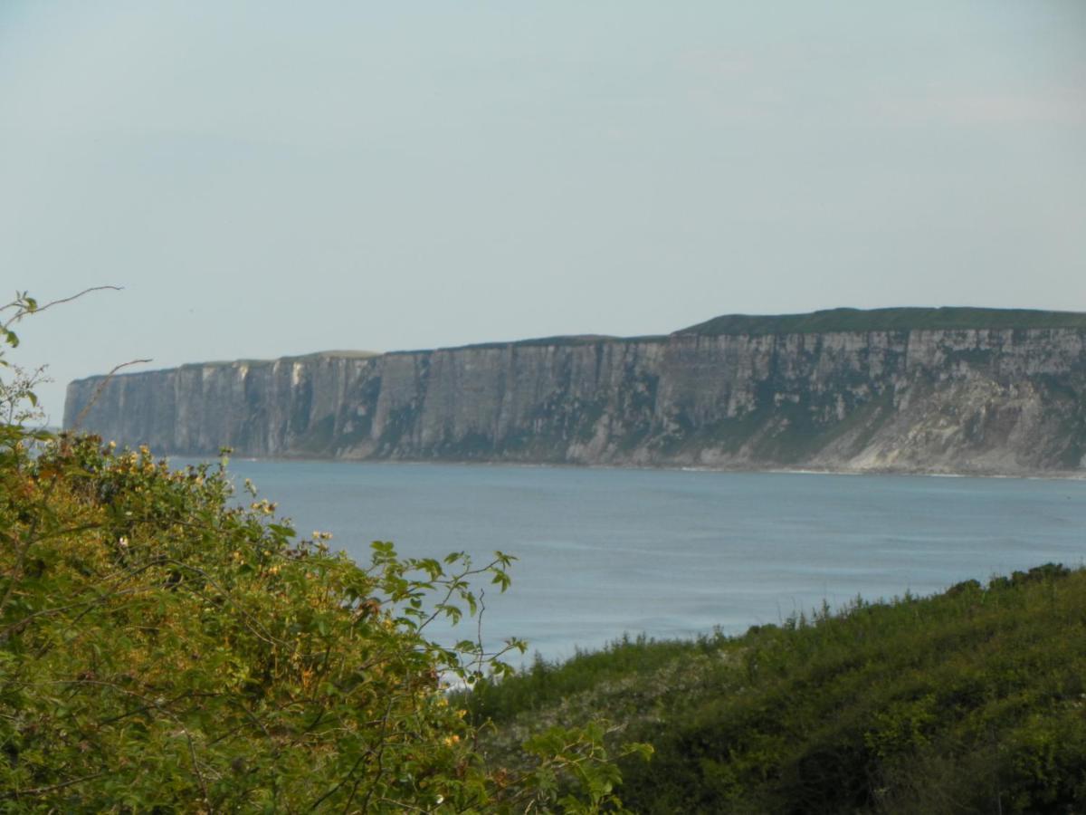 فيلا Nett'S Coastal Escape Filey المظهر الخارجي الصورة